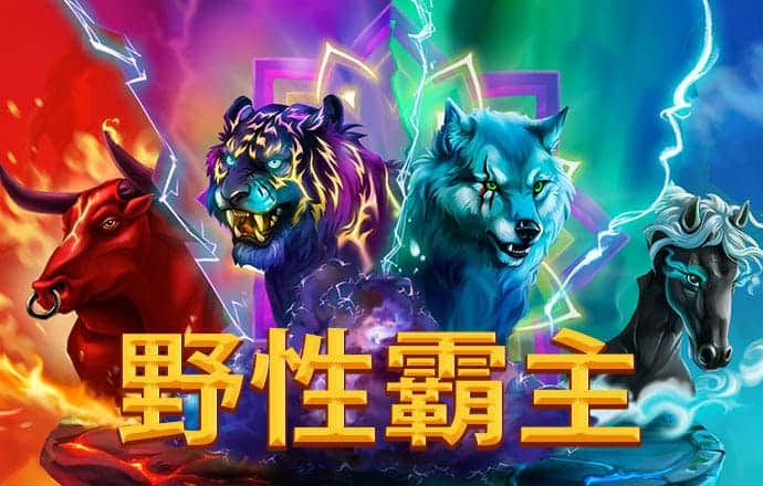 伟德bv国际体育